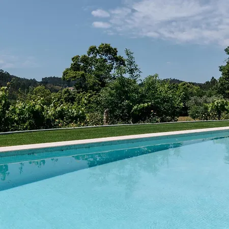 Villa Real By Mycelia