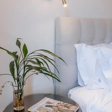 Real By Mycelia * Real (Castelo de Paiva)