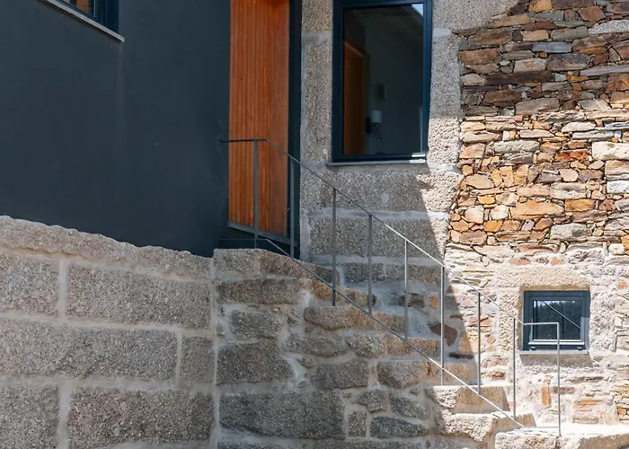 Villa Real By Mycelia