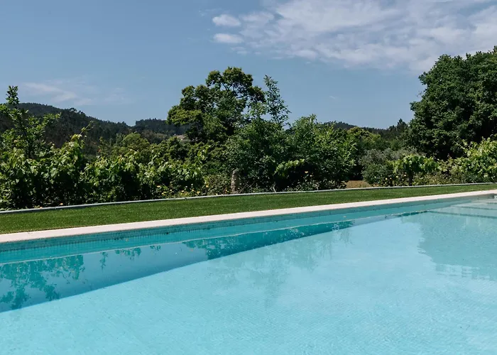 Villa Real By Mycelia