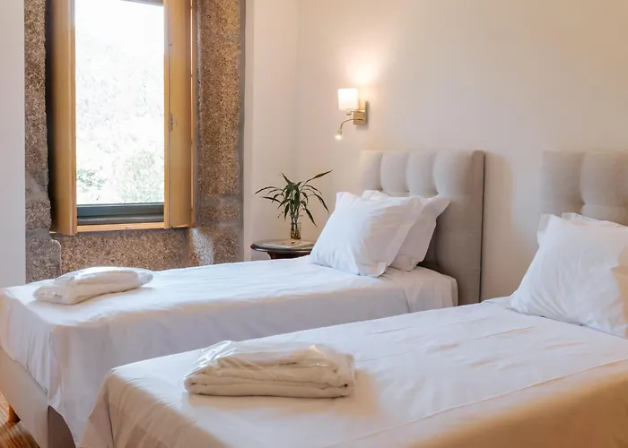 Real By Mycelia * Real (Castelo de Paiva)