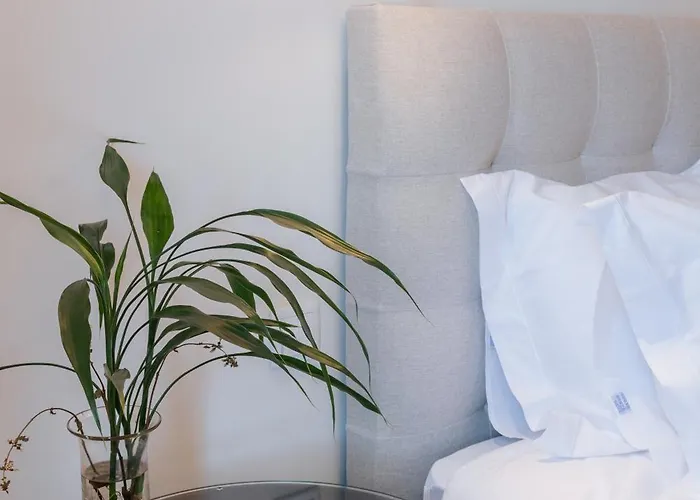 Real By Mycelia * Real (Castelo de Paiva)